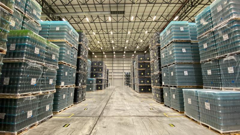 To Let commercial Property for Rent in Parow Industrial Western Cape